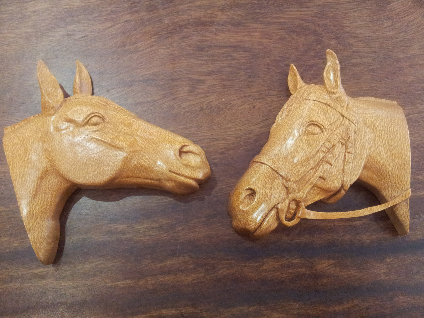 Carved Horse head Silky Oak