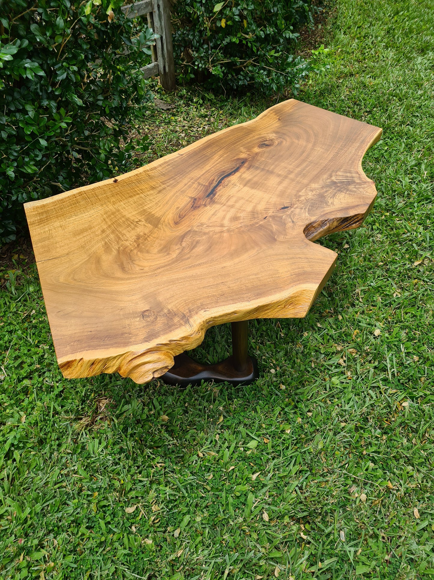 Silver Wattle Coffee Table