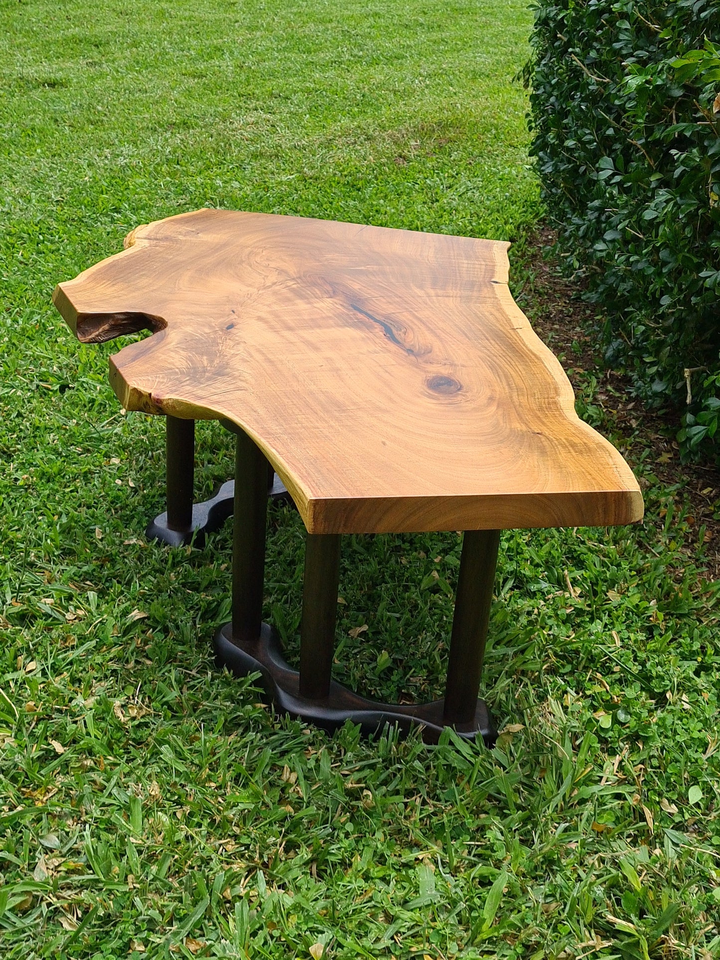 Silver Wattle Coffee Table