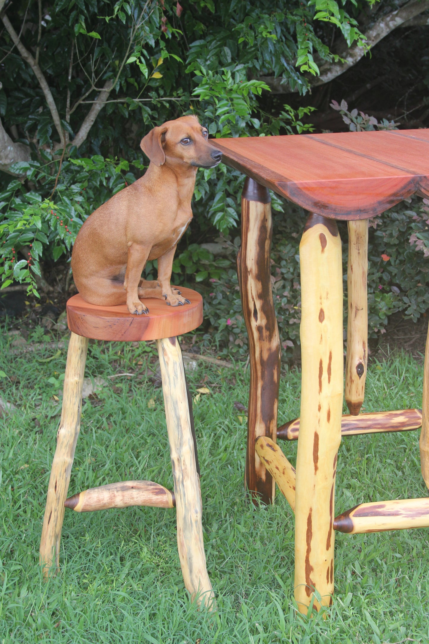 Bar Table Rose Gum