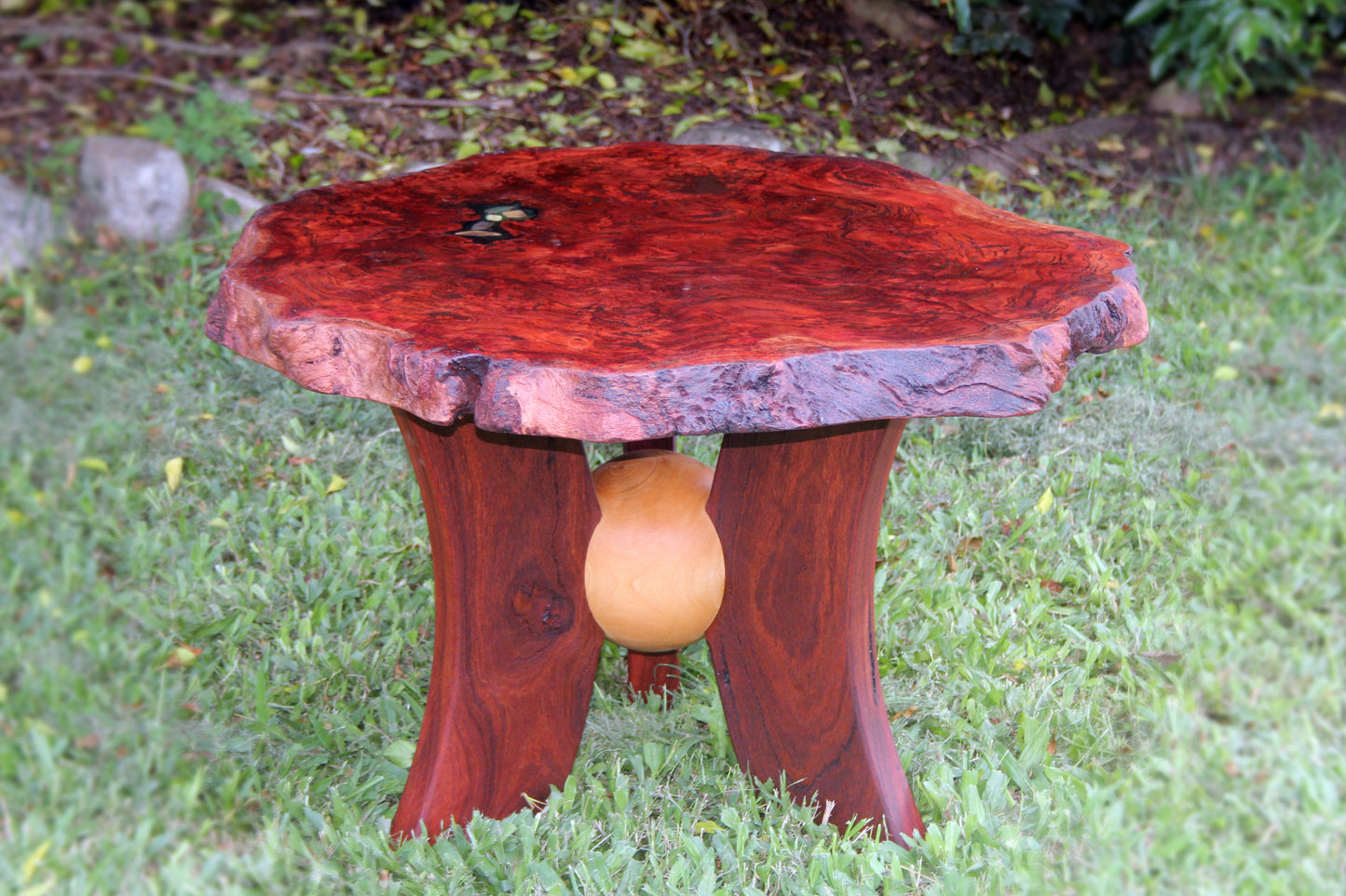 Coffee Table Burl top