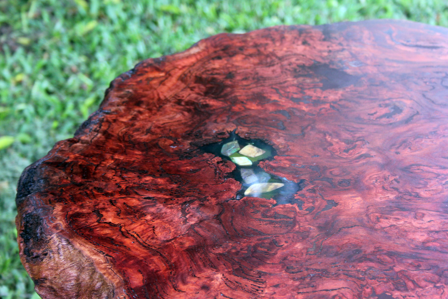 Coffee Table Burl top