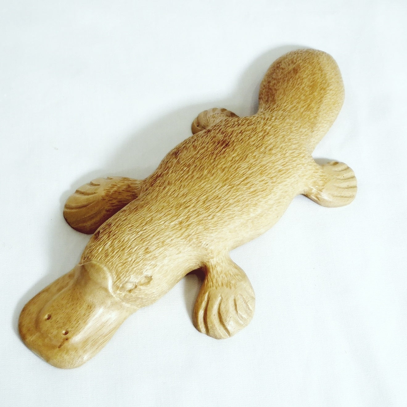 Platypus carved Silver Quandong