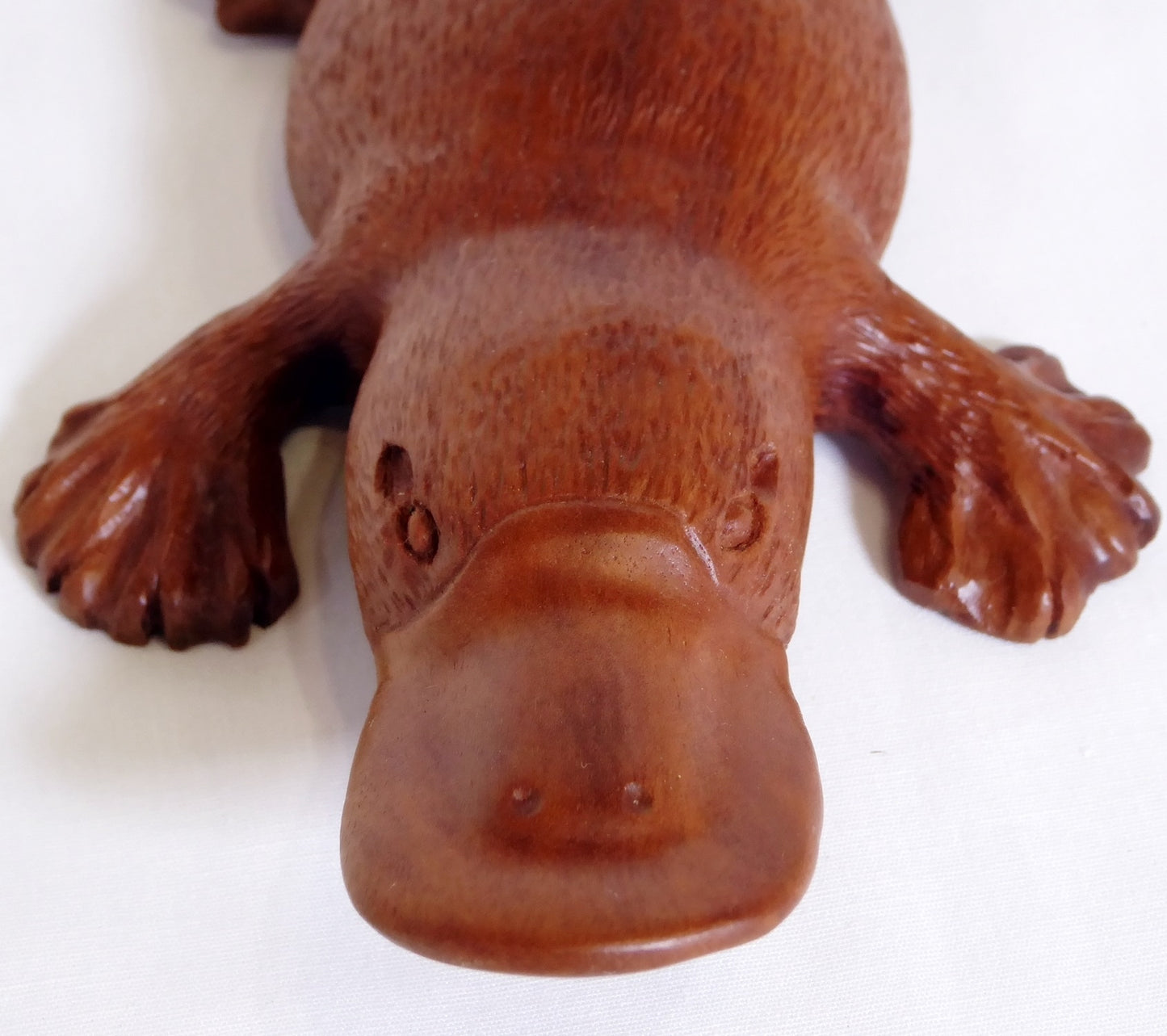 Platypus carved Northern Red Almond
