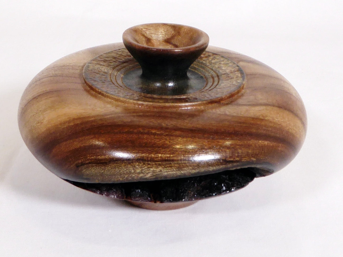 Vase Camphor Laurel