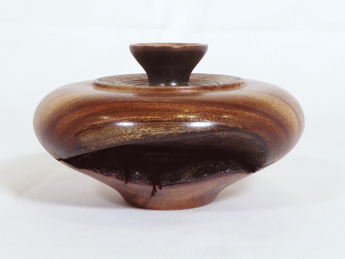 Vase Camphor Laurel