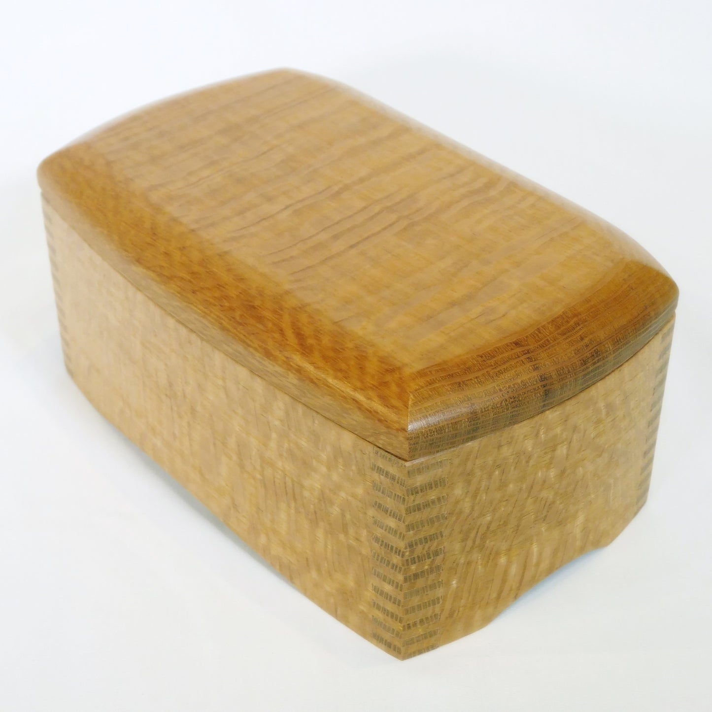 Box - Northern Silky Oak