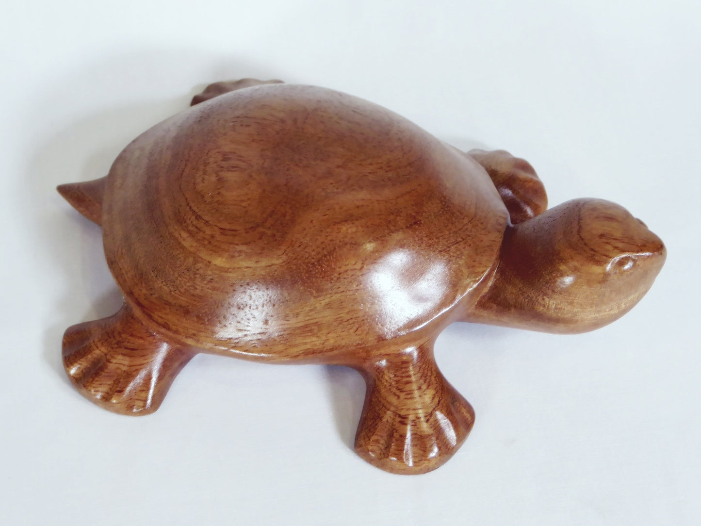 Carved timber Turtle