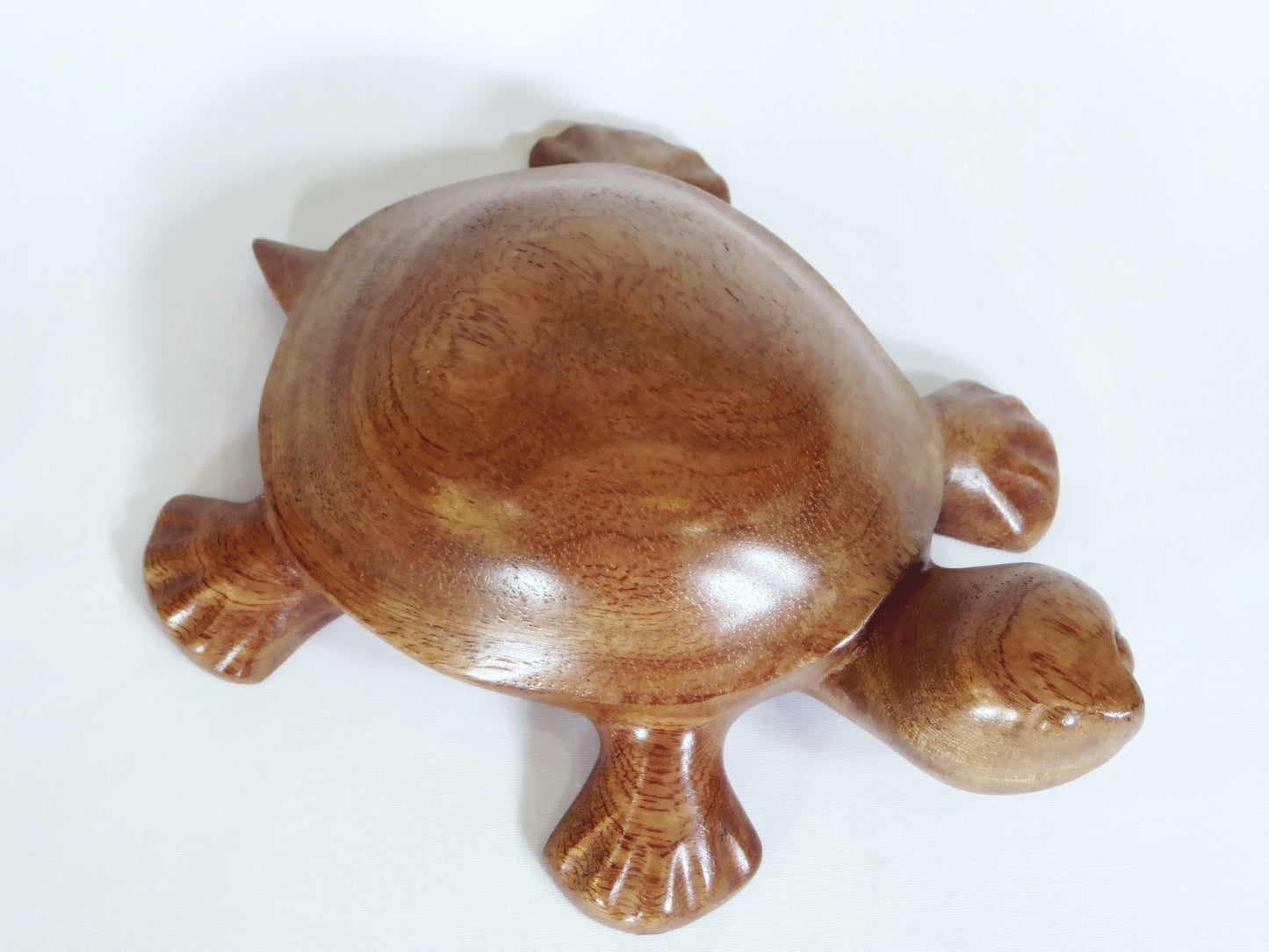 Carved timber Turtle