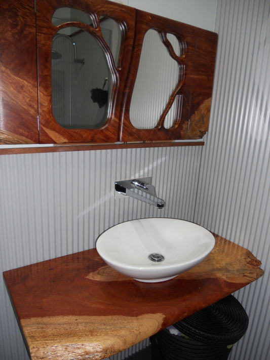 Bathroom vanity and Mirrored Cabinet