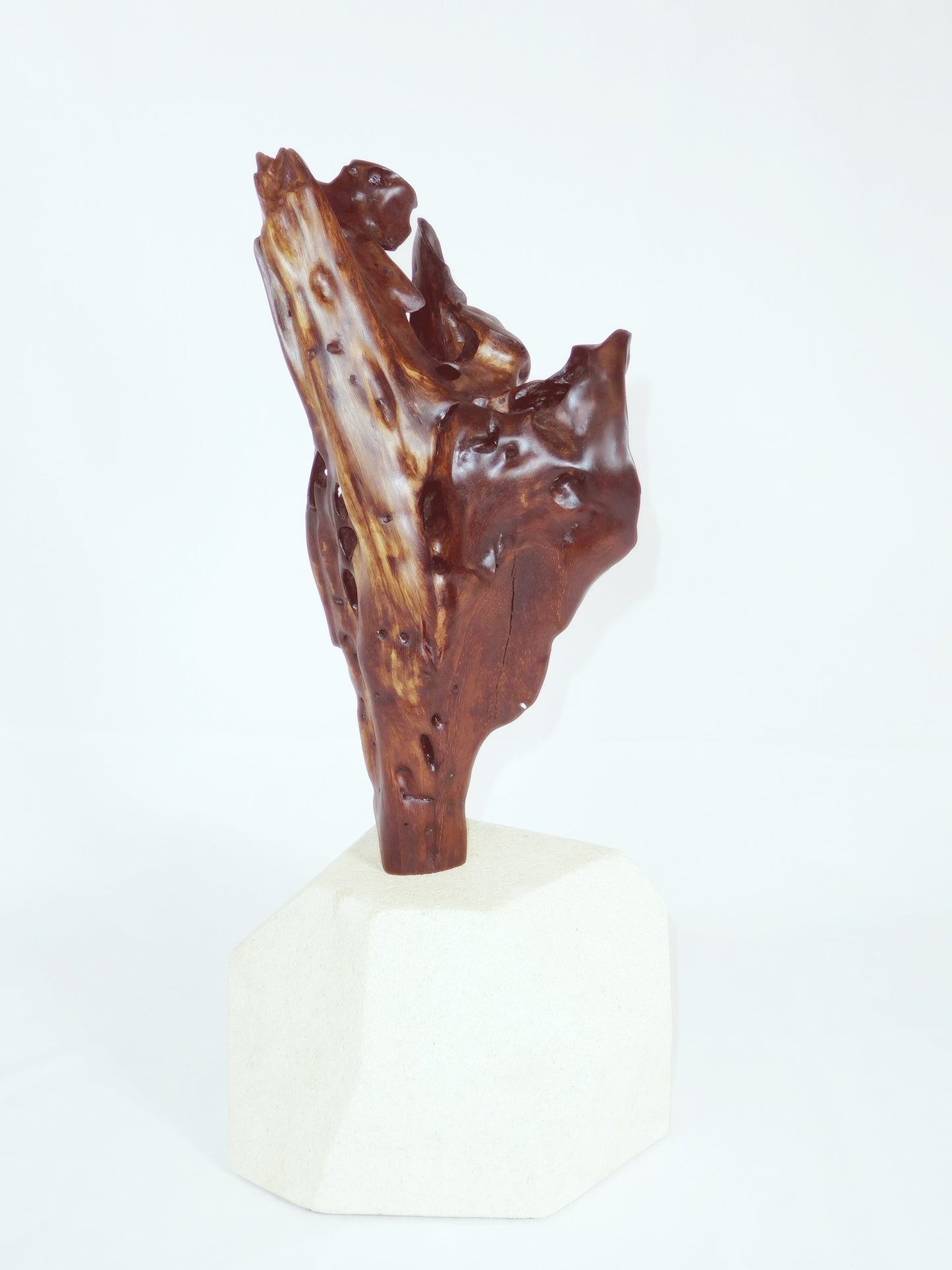 "Tinaroo's Gift" sculpture