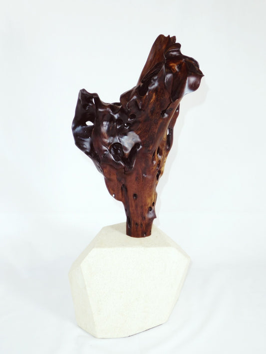 "Tinaroo's Gift" sculpture