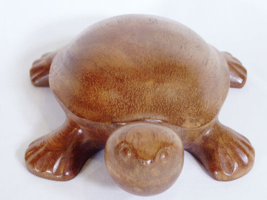 Carved timber Turtle
